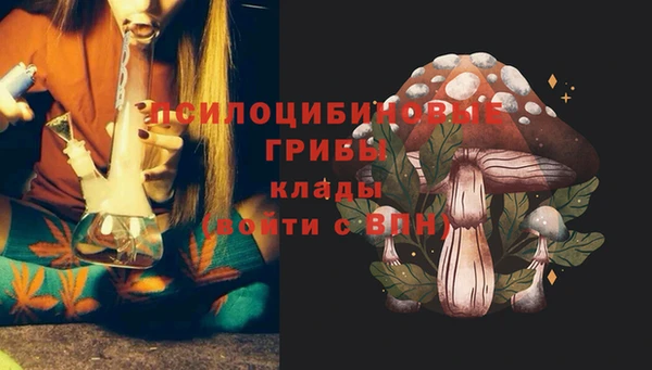 гидра Абдулино