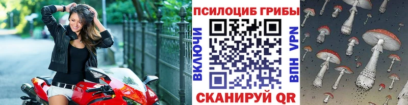 Псилоцибиновые грибы Magic Shrooms купить наркоту Вологда